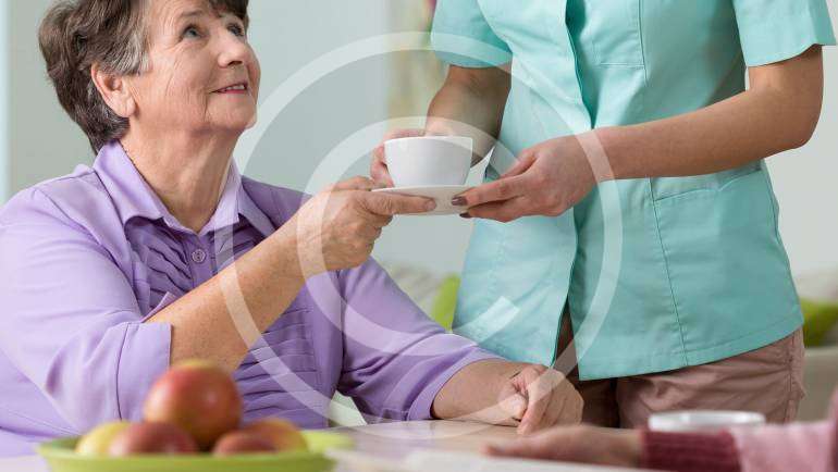 Eating Healthy to Support Successful Ageing